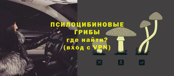 шишки Алексин
