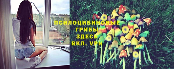 ГАЛЛЮЦИНОГЕННЫЕ ГРИБЫ Алзамай