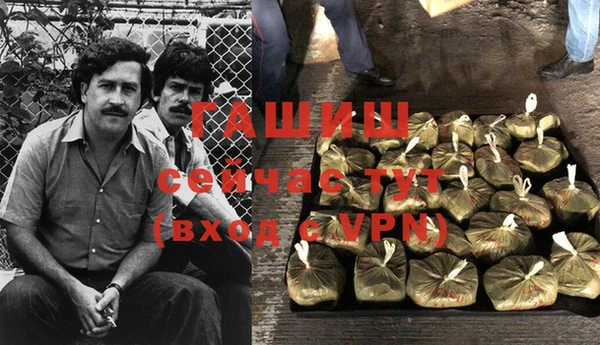 ГАЛЛЮЦИНОГЕННЫЕ ГРИБЫ Алзамай