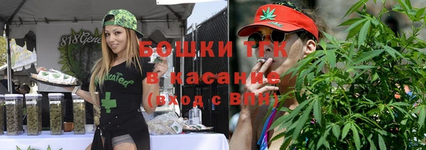 шишки Алексин
