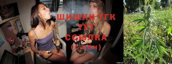 шишки Алексин