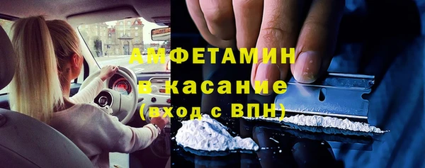 шишки Алексин